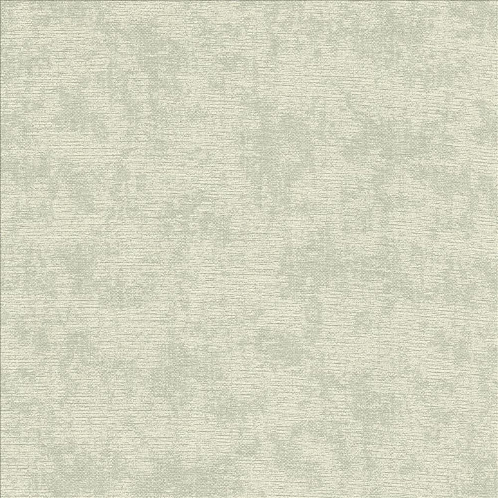 Relic Vapor by Kasmir Fabric 5120 100% Polyester
 CHINA </p><p>Repeat: Horizontal: 14 7/8 inches and Vertical: 21 6/8 inches 57 - Fabric Carolina -