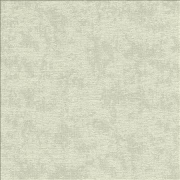 Relic Vapor by Kasmir Fabric 5120 100% Polyester CHINA 51,000 Wyzenbeek Double Rubs H: 14 7/8 inches, V: 21 6/8 inches 57 - Fabric Carolina - Kasmir