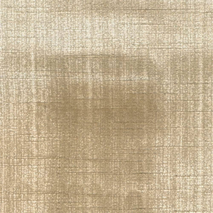 Rembrandt Golden Taupe by Kasmir Fabric 1422 USA 100,000 Wyzenbeek Double Rubs H: 1 inches, V:N/A 54 - 55 - Fabric Carolina - Kasmir