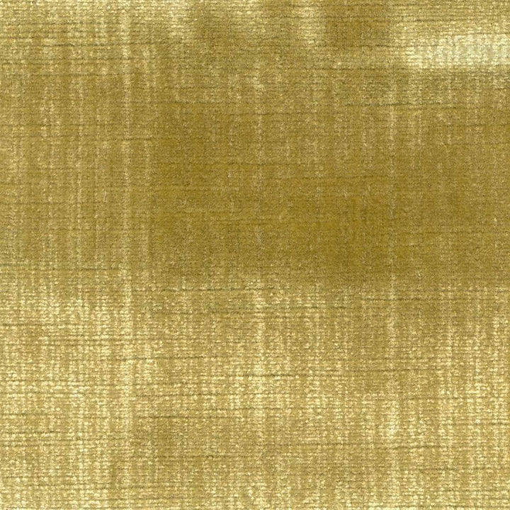 Rembrandt Lemon Zest by Kasmir Fabric 1422 USA 100,000 Wyzenbeek Double Rubs H: 1 inches, V:N/A 54 - 55 - Fabric Carolina - Kasmir