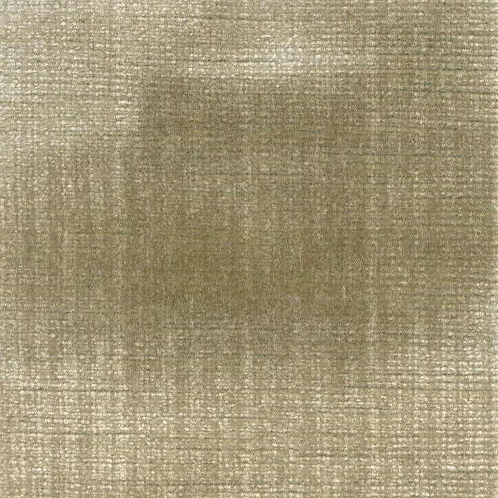 Rembrandt Lichen by Kasmir Fabric 1422 75% Rayon
25% Cotton
 USA 100,000 Wyzenbeek Double Rubs </p><p>Repeat: Horizontal: 1 inches and Vertical: N/A 54 - Fabric Carolina -