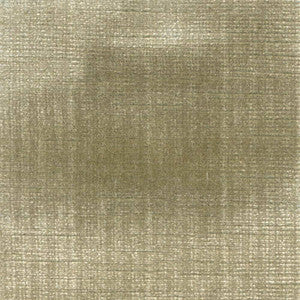 Rembrandt Lichen by Kasmir Fabric