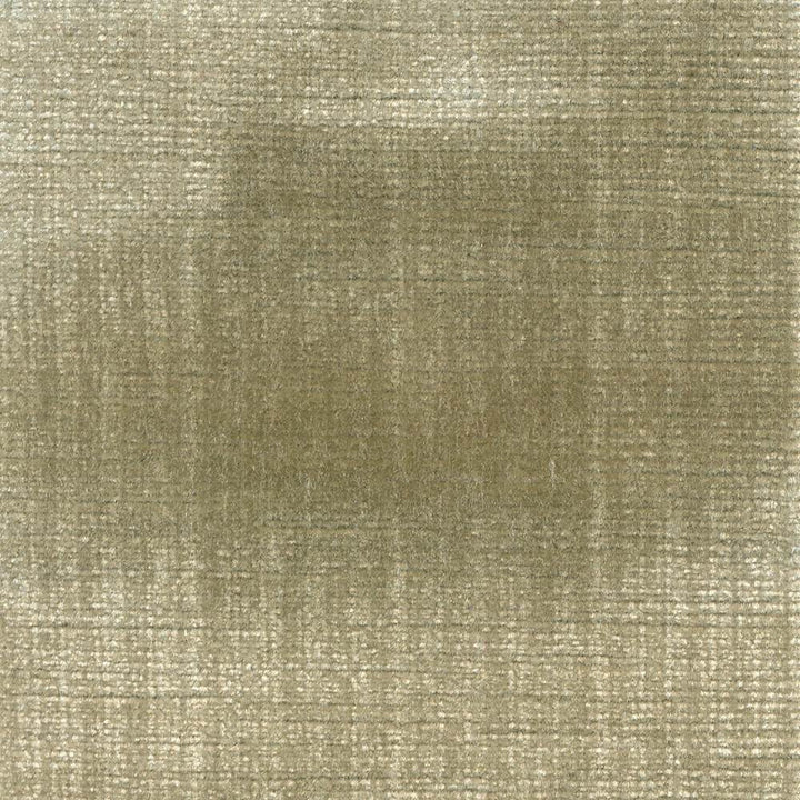 Rembrandt Lichen by Kasmir Fabric 1422 75% Rayon
25% Cotton
 USA </p><p>Repeat: Horizontal: 1 inches and Vertical: N/A 54 - 55 - Fabric Carolina -