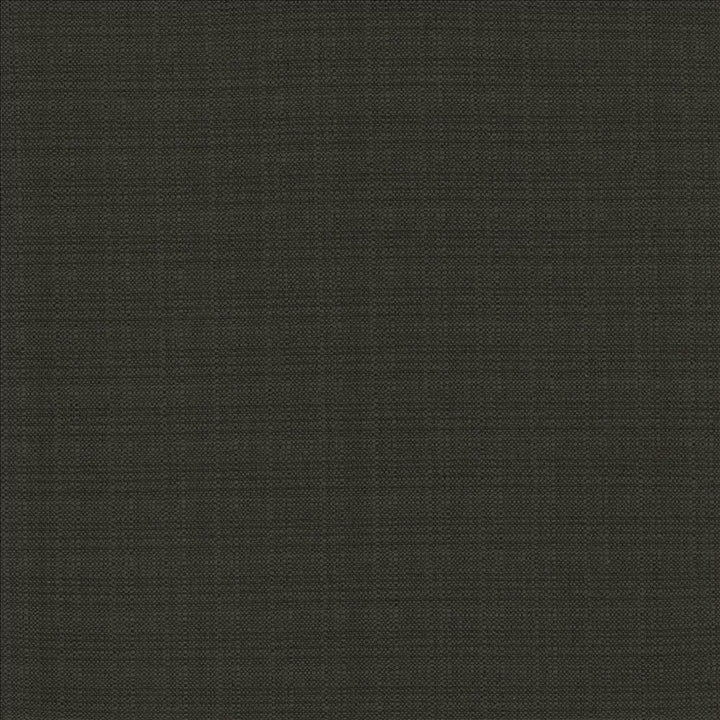 Resilient Black by Kasmir Fabric 5173 100% Polyester
 CHINA </p><p>Repeat: Horizontal: N/A and Vertical: N/A 54 - Fabric Carolina -