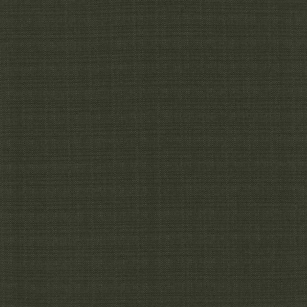 Resilient Black by Kasmir Fabric 5173 100% Polyester
 CHINA </p><p>Repeat: Horizontal: N/A and Vertical: N/A 54 - Fabric Carolina -