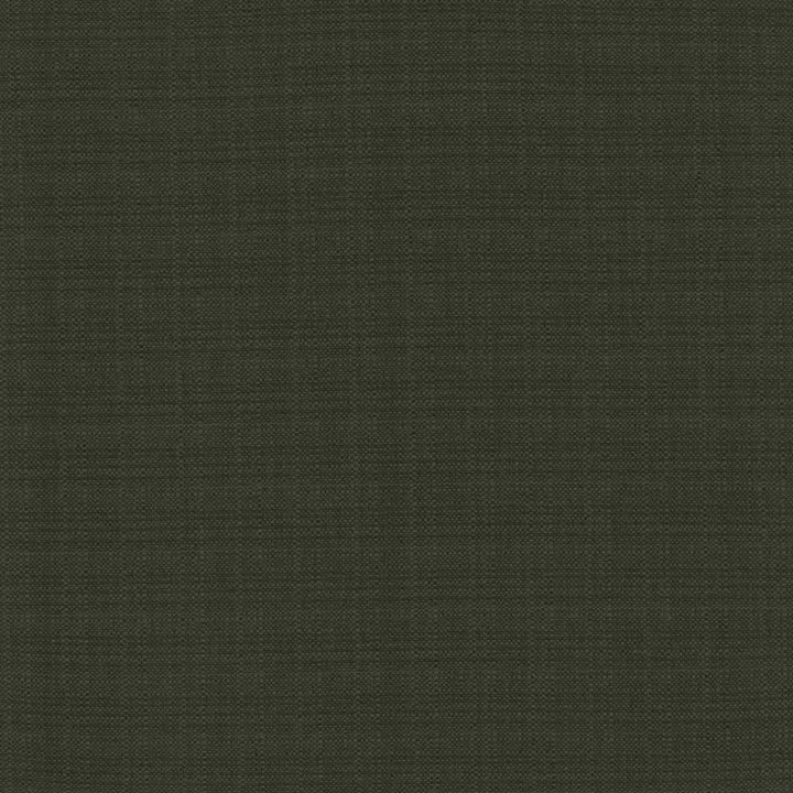 Resilient Black by Kasmir Fabric 5173 100% Polyester
 CHINA </p><p>Repeat: Horizontal: N/A and Vertical: N/A 54 - Fabric Carolina -