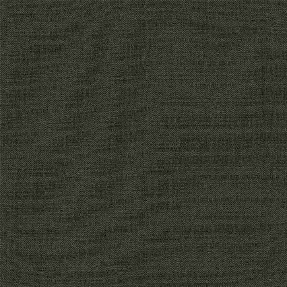 Resilient Black by Kasmir Fabric 5173 100% Polyester
 CHINA 100,000 Wyzenbeek Double Rubs </p><p>Repeat: Horizontal: N/A and Vertical: N/A 54 - Fabric Carolina -