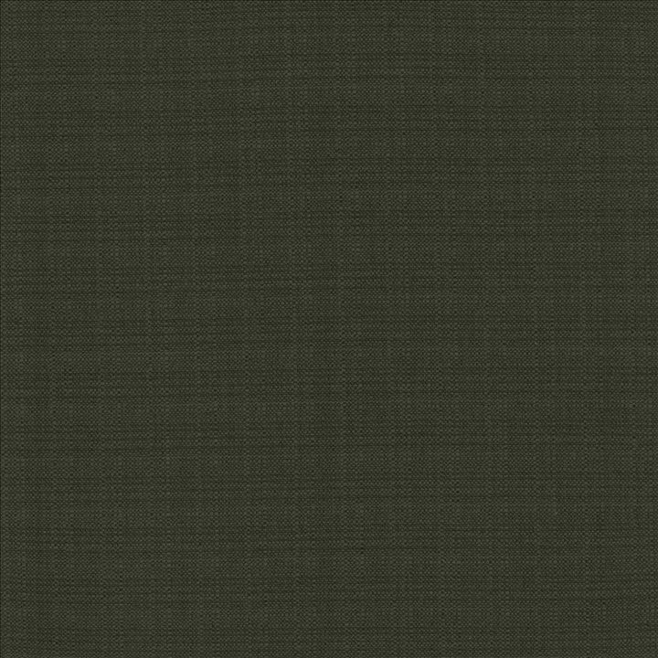 Resilient Black by Kasmir Fabric 5173 100% Polyester
 CHINA 100,000 Wyzenbeek Double Rubs </p><p>Repeat: Horizontal: N/A and Vertical: N/A 54 - Fabric Carolina -