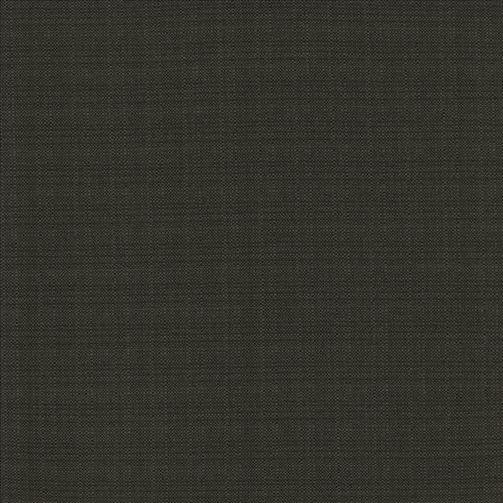 Resilient Black by Kasmir Fabric 5173 100% Polyester
 CHINA </p><p>Repeat: Horizontal: N/A and Vertical: N/A 54 - Fabric Carolina -