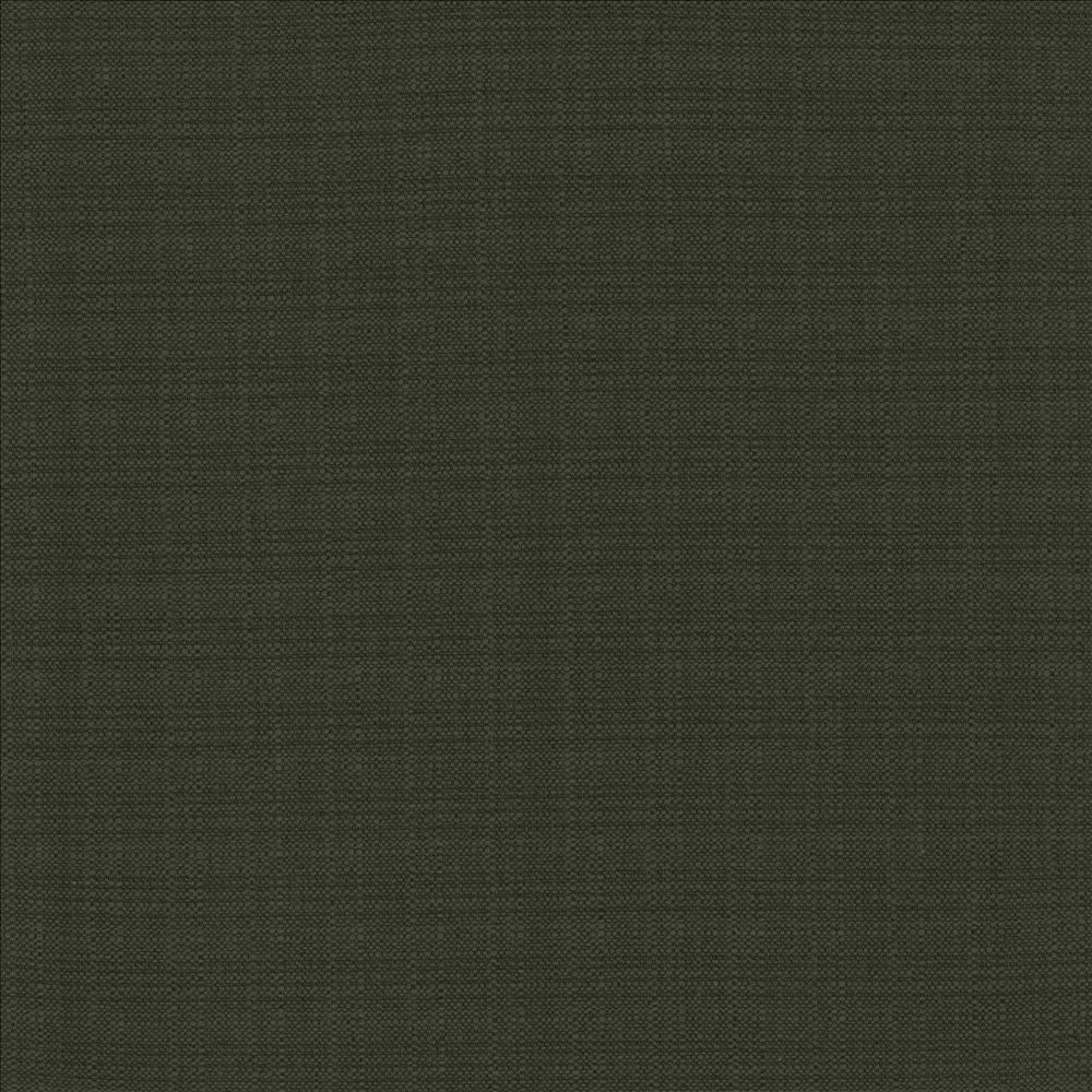 Resilient Black by Kasmir Fabric 5173 100% Polyester
 CHINA 100,000 Wyzenbeek Double Rubs Horizontal: N/A and Vertical: N/A 54 - Fabric Carolina -