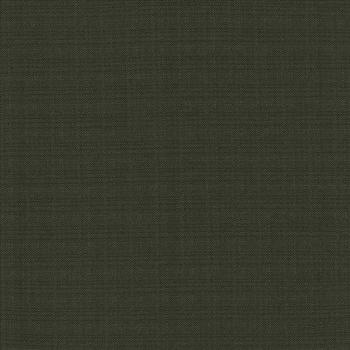 Resilient Black by Kasmir Fabric 5173 100% Polyester
 CHINA 100,000 Wyzenbeek Double Rubs Horizontal: N/A and Vertical: N/A 54 - Fabric Carolina -
