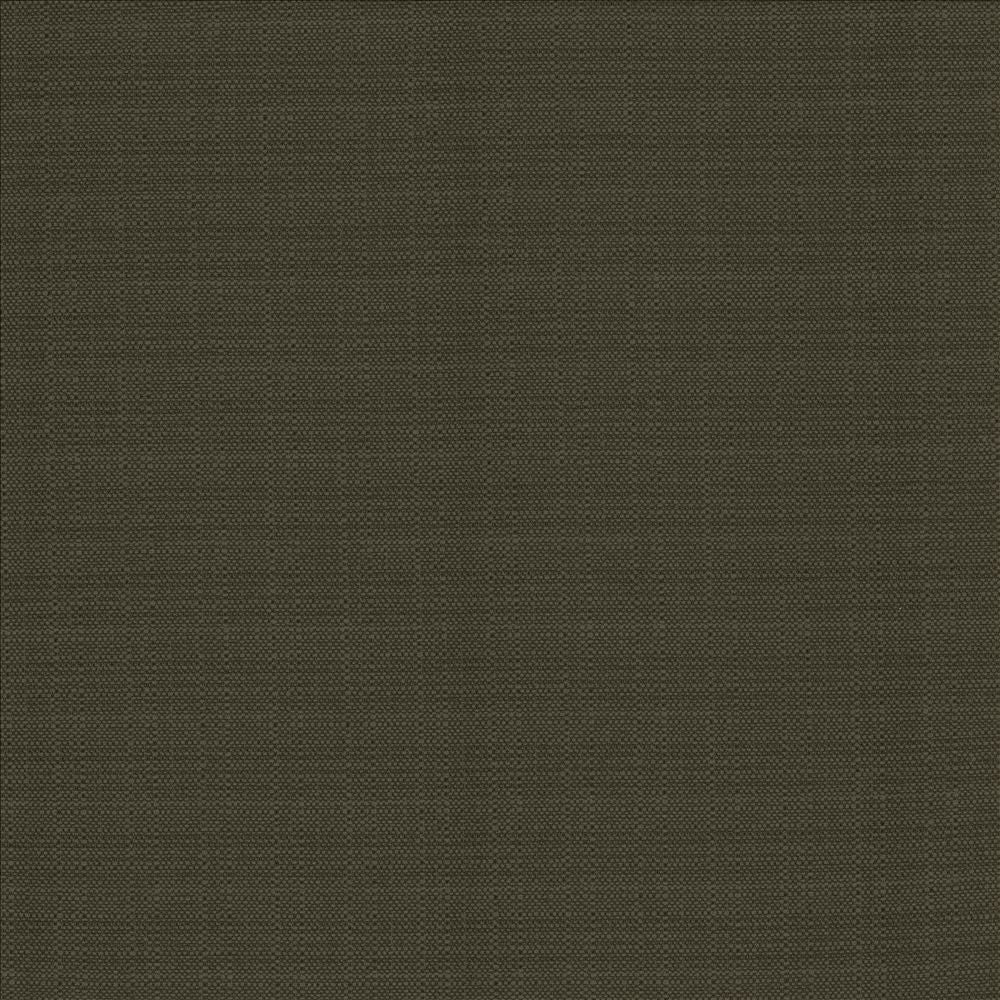 Resilient Charcoal by Kasmir Fabric 5173 100% Polyester
 CHINA </p><p>Repeat: Horizontal: N/A and Vertical: N/A 54 - Fabric Carolina -