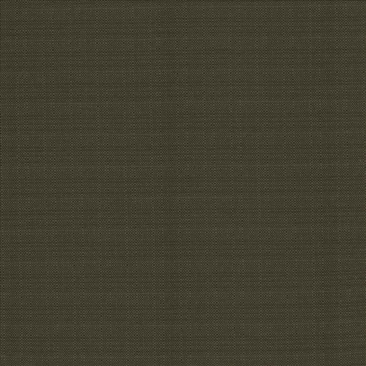 Resilient Charcoal by Kasmir Fabric 5173 100% Polyester
 CHINA </p><p>Repeat: Horizontal: N/A and Vertical: N/A 54 - Fabric Carolina -