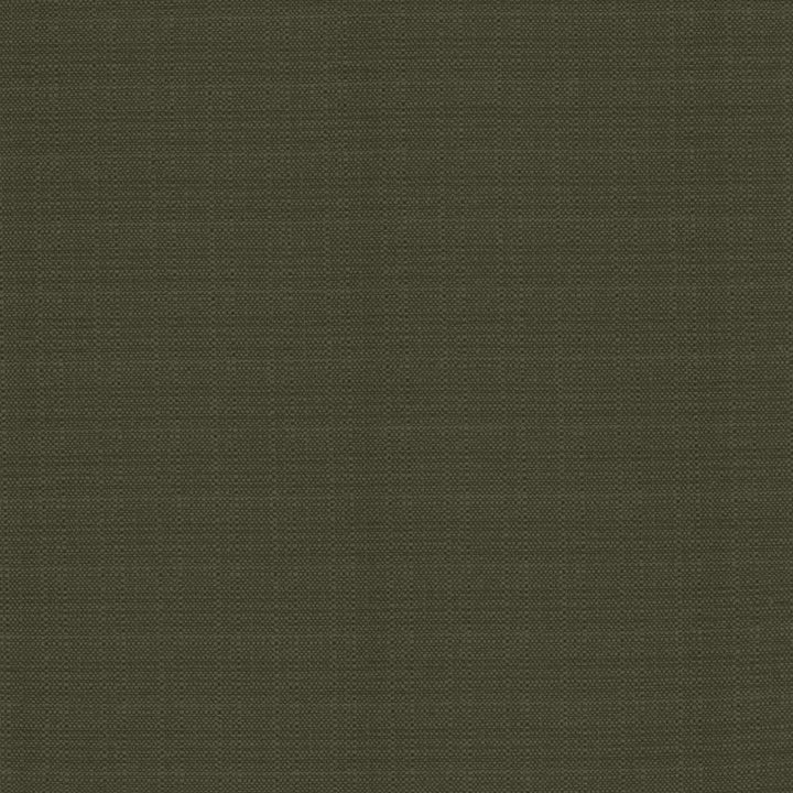 Resilient Charcoal by Kasmir Fabric 5173 100% Polyester
 CHINA </p><p>Repeat: Horizontal: N/A and Vertical: N/A 54 - Fabric Carolina -