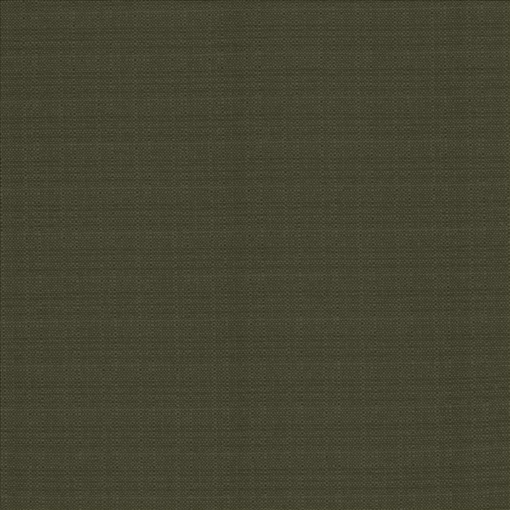 Resilient Charcoal  by Kasmir Fabric See sample 100% Polyester
 CHINA 100,000 Wyzenbeek Double Rubs </p><p>Repeat: Horizontal: N/A and Vertical: N/A 54  - Fabric Carolina -
