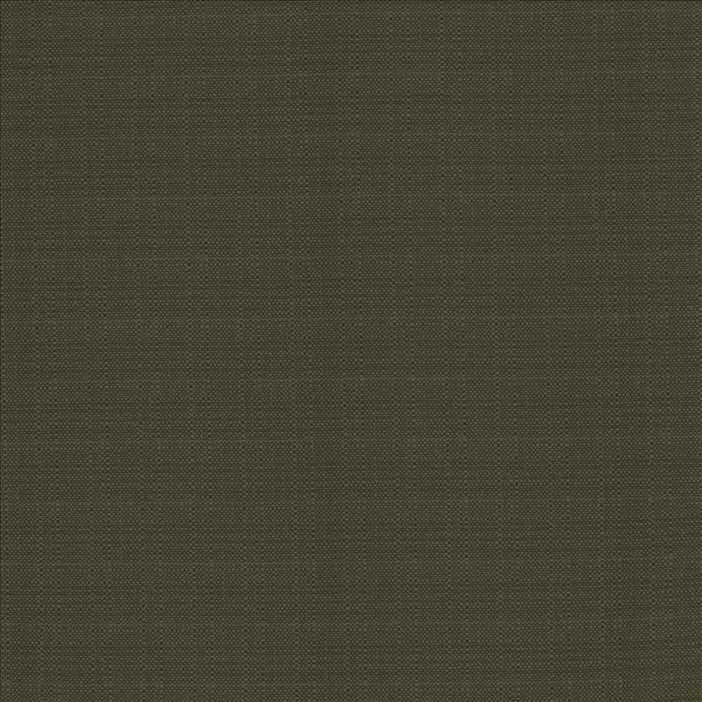 Resilient Charcoal by Kasmir Fabric 5173 100% Polyester
 CHINA 100,000 Wyzenbeek Double Rubs Horizontal: N/A and Vertical: N/A 54 - Fabric Carolina -