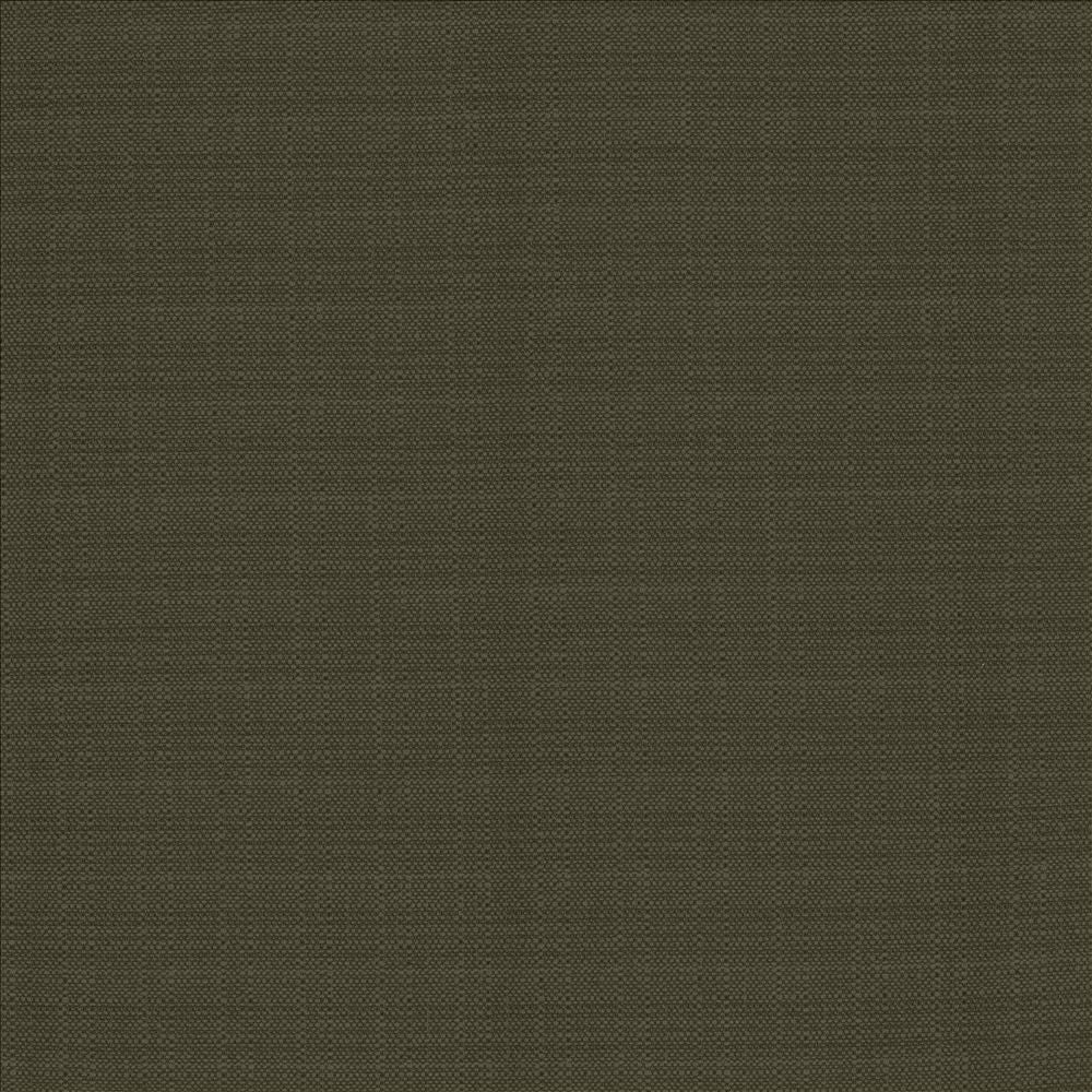 Resilient Charcoal by Kasmir Fabric 5173 100% Polyester
 CHINA 100,000 Wyzenbeek Double Rubs </p><p>Repeat: Horizontal: N/A and Vertical: N/A 54 - Fabric Carolina -