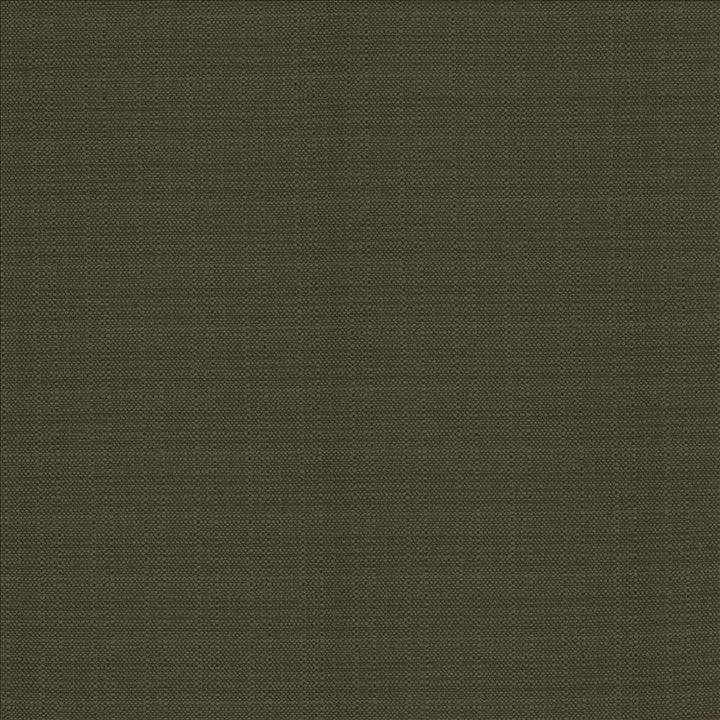 Resilient Charcoal by Kasmir Fabric 5173 100% Polyester
 CHINA 100,000 Wyzenbeek Double Rubs </p><p>Repeat: Horizontal: N/A and Vertical: N/A 54 - Fabric Carolina -