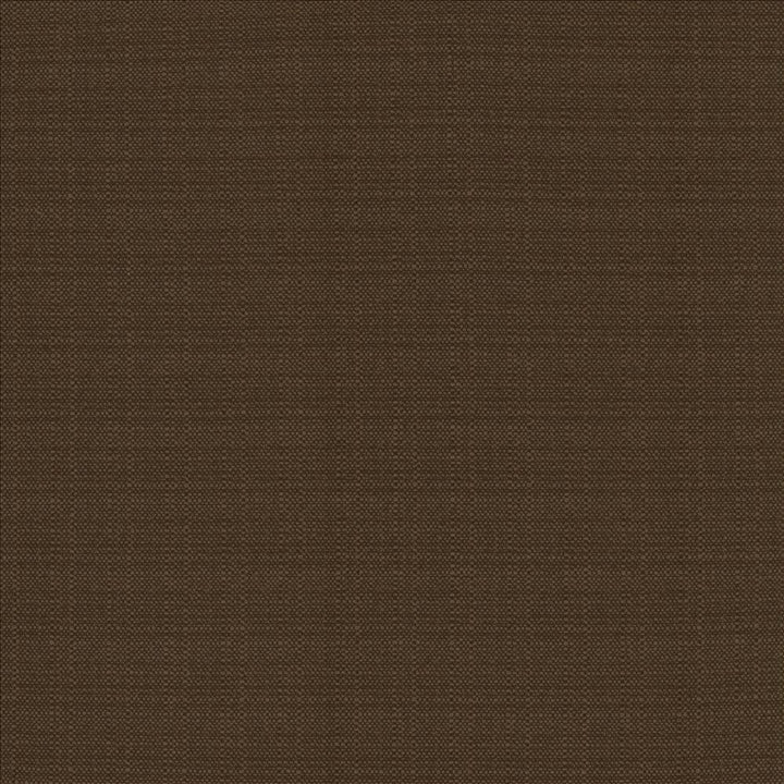 Resilient Chocolate by Kasmir Fabric 5173 100% Polyester
 CHINA 100,000 Wyzenbeek Double Rubs </p><p>Repeat: Horizontal: N/A and Vertical: N/A 54 - Fabric Carolina -
