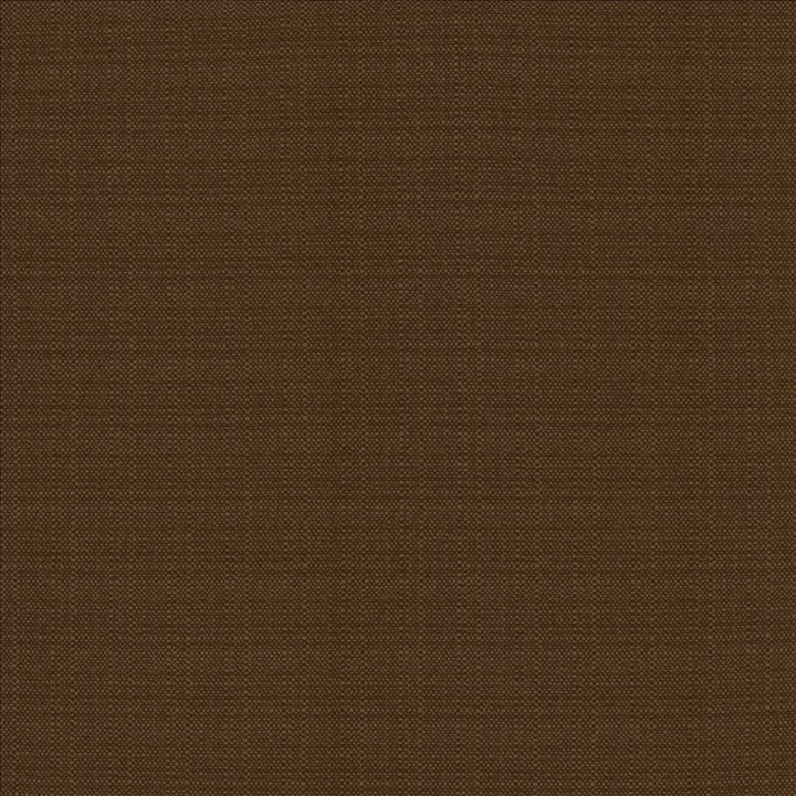 Resilient Chocolate by Kasmir Fabric 5173 100% Polyester
 CHINA </p><p>Repeat: Horizontal: N/A and Vertical: N/A 54 - Fabric Carolina -