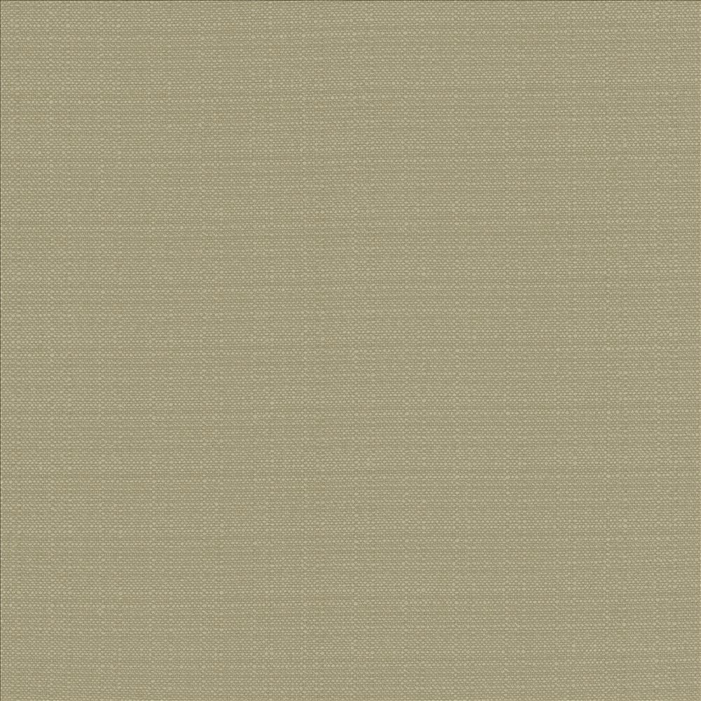 Resilient Dove by Kasmir Fabric 5173 100% Polyester
 CHINA 100,000 Wyzenbeek Double Rubs Horizontal: N/A and Vertical: N/A 54 - Fabric Carolina -