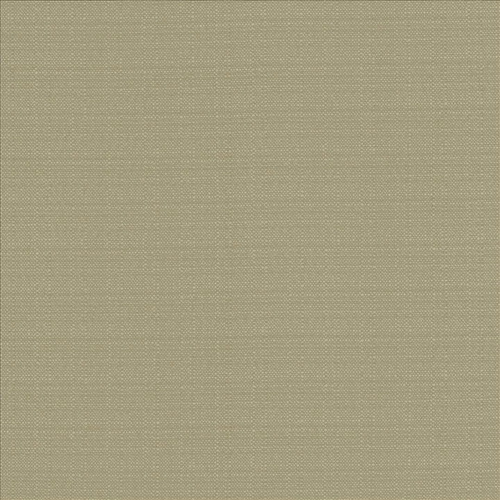 Resilient Dove  by Kasmir Fabric See sample 100% Polyester
 CHINA 100,000 Wyzenbeek Double Rubs </p><p>Repeat: Horizontal: N/A and Vertical: N/A 54  - Fabric Carolina -