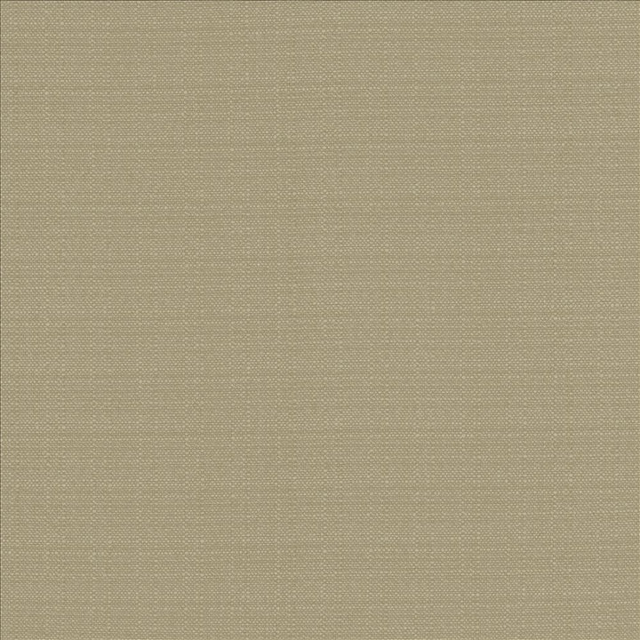 Resilient Dove by Kasmir Fabric 5173 100% Polyester
 CHINA 100,000 Wyzenbeek Double Rubs </p><p>Repeat: Horizontal: N/A and Vertical: N/A 54 - Fabric Carolina -