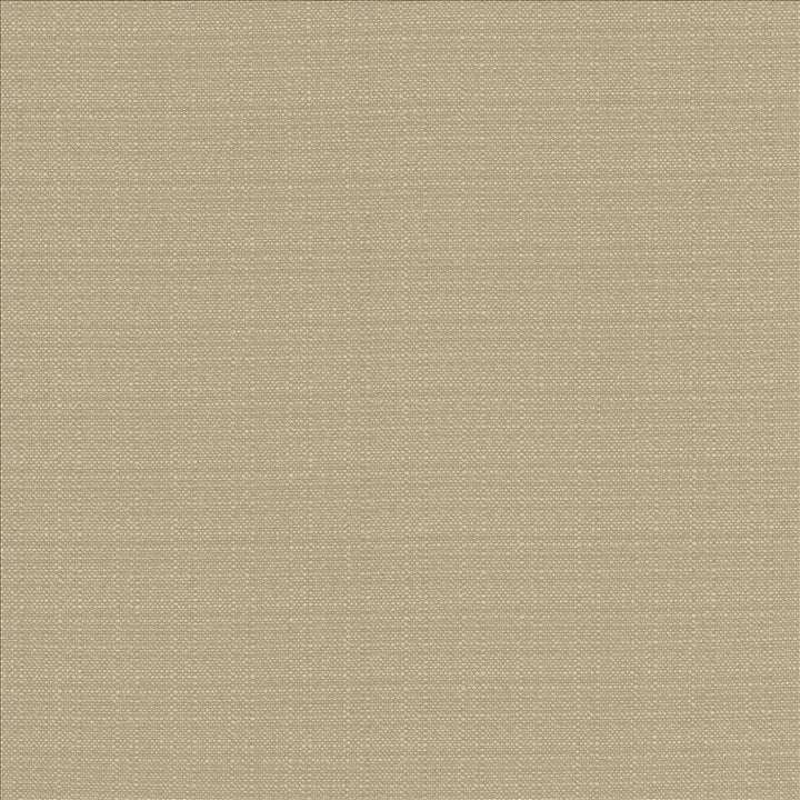 Resilient Dove by Kasmir Fabric 5173 100% Polyester
 CHINA </p><p>Repeat: Horizontal: N/A and Vertical: N/A 54 - Fabric Carolina -