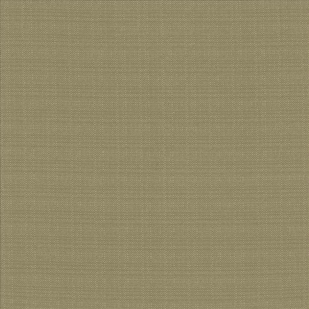 Resilient Julep by Kasmir Fabric 5173 100% Polyester
 CHINA 100,000 Wyzenbeek Double Rubs Horizontal: N/A and Vertical: N/A 54 - Fabric Carolina -