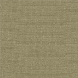 Resilient Julep by Kasmir Fabric