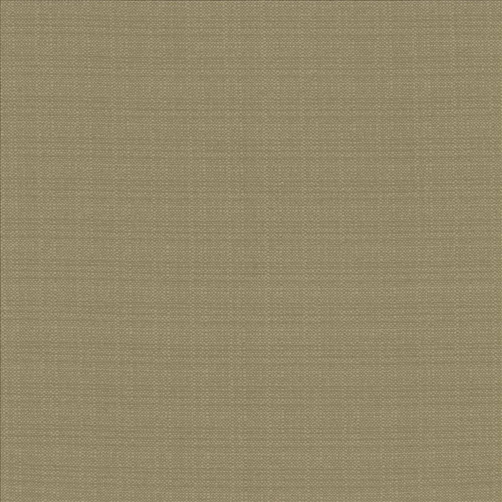 Resilient Julep by Kasmir Fabric 5173 100% Polyester
 CHINA 100,000 Wyzenbeek Double Rubs </p><p>Repeat: Horizontal: N/A and Vertical: N/A 54 - Fabric Carolina -