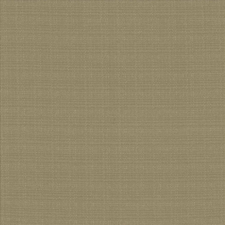 Resilient Julep by Kasmir Fabric 5173 100% Polyester
 CHINA 100,000 Wyzenbeek Double Rubs </p><p>Repeat: Horizontal: N/A and Vertical: N/A 54 - Fabric Carolina -