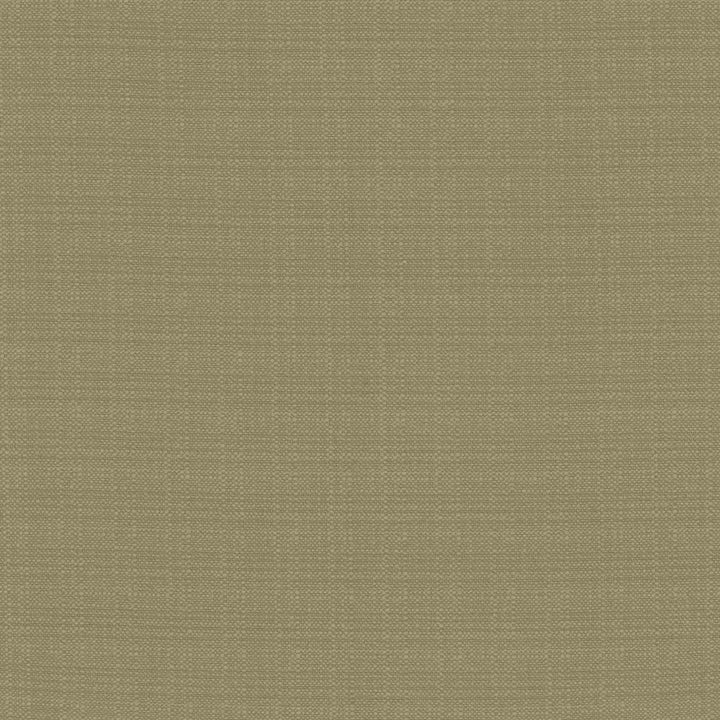 Resilient Julep by Kasmir Fabric 5173 100% Polyester
 CHINA </p><p>Repeat: Horizontal: N/A and Vertical: N/A 54 - Fabric Carolina -