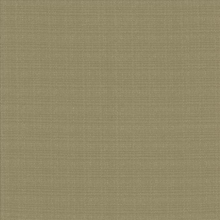 Resilient Julep  by Kasmir Fabric See sample 100% Polyester
 CHINA 100,000 Wyzenbeek Double Rubs </p><p>Repeat: Horizontal: N/A and Vertical: N/A 54  - Fabric Carolina -