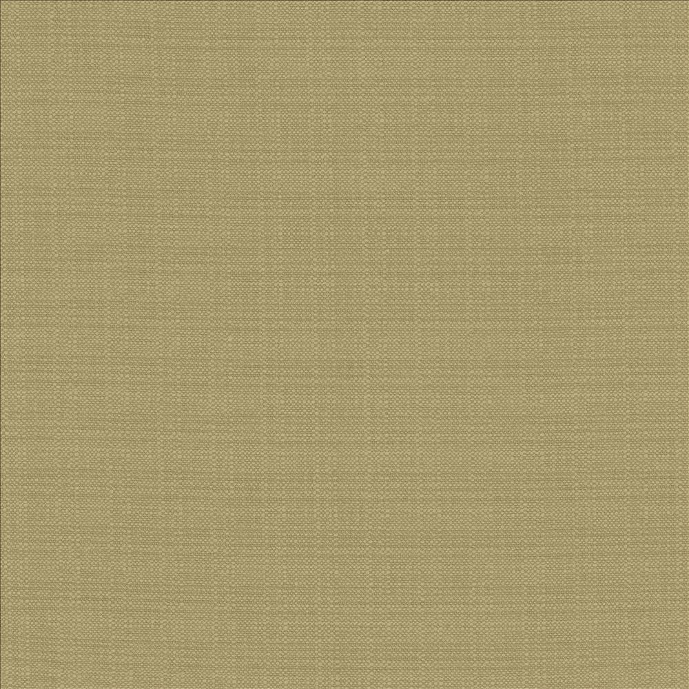 Resilient Julep by Kasmir Fabric 5173 100% Polyester
 CHINA </p><p>Repeat: Horizontal: N/A and Vertical: N/A 54 - Fabric Carolina -