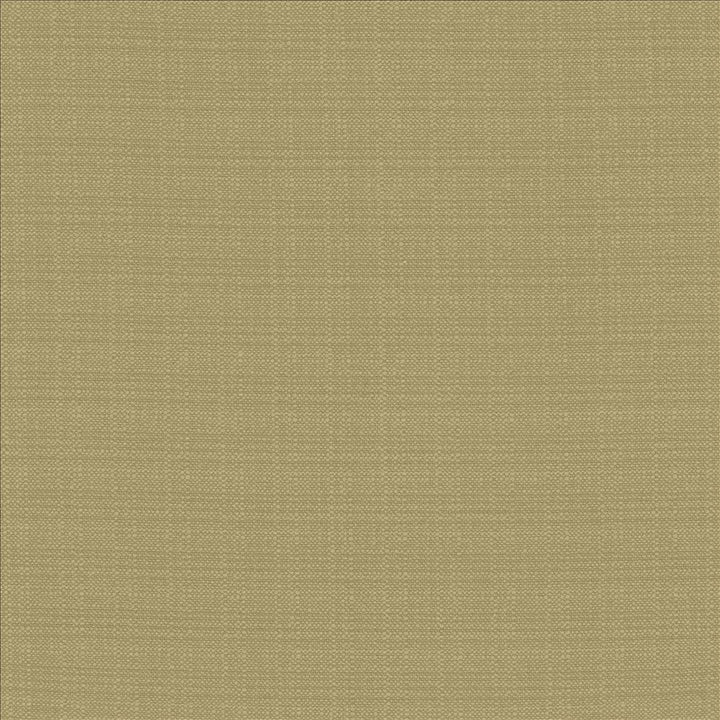 Resilient Julep by Kasmir Fabric 5173 100% Polyester
 CHINA </p><p>Repeat: Horizontal: N/A and Vertical: N/A 54 - Fabric Carolina -