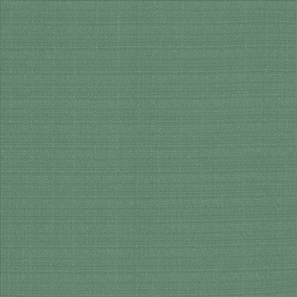 Resilient Laguna by Kasmir Fabric 5173 100% Polyester
 CHINA 100,000 Wyzenbeek Double Rubs Horizontal: N/A and Vertical: N/A 54 - Fabric Carolina -