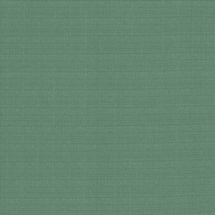 Resilient Laguna by Kasmir Fabric 5173 100% Polyester
 CHINA 100,000 Wyzenbeek Double Rubs Horizontal: N/A and Vertical: N/A 54 - Fabric Carolina -