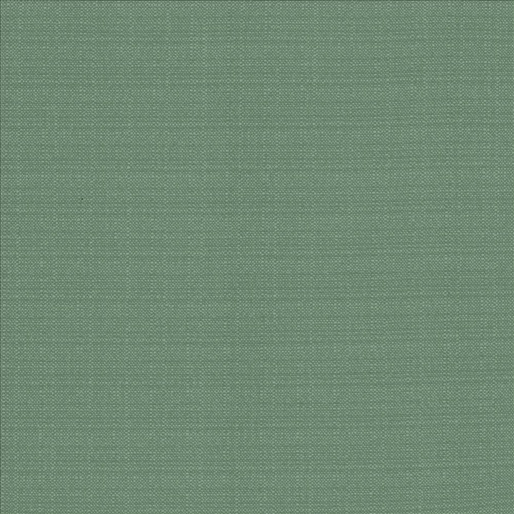 Resilient Laguna by Kasmir Fabric 5173 100% Polyester
 CHINA </p><p>Repeat: Horizontal: N/A and Vertical: N/A 54 - Fabric Carolina -
