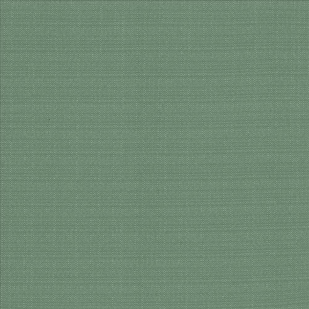 Resilient Laguna by Kasmir Fabric 5173 100% Polyester
 CHINA </p><p>Repeat: Horizontal: N/A and Vertical: N/A 54 - Fabric Carolina -