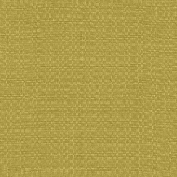 Resilient Meadow by Kasmir Fabric 5173 100% Polyester
 CHINA </p><p>Repeat: Horizontal: N/A and Vertical: N/A 54 - Fabric Carolina -