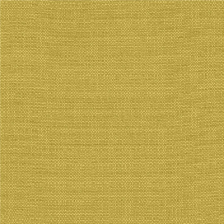 Resilient Meadow by Kasmir Fabric 5173 100% Polyester
 CHINA </p><p>Repeat: Horizontal: N/A and Vertical: N/A 54 - Fabric Carolina -
