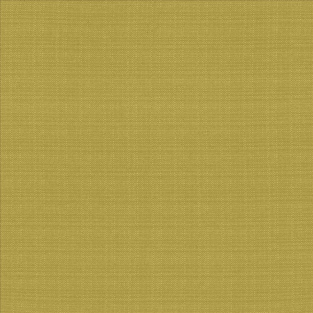 Resilient Meadow by Kasmir Fabric 5173 100% Polyester
 CHINA 100,000 Wyzenbeek Double Rubs </p><p>Repeat: Horizontal: N/A and Vertical: N/A 54 - Fabric Carolina -