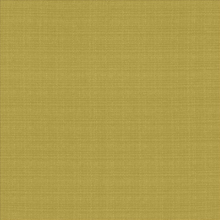 Resilient Meadow by Kasmir Fabric 5173 100% Polyester
 CHINA 100,000 Wyzenbeek Double Rubs </p><p>Repeat: Horizontal: N/A and Vertical: N/A 54 - Fabric Carolina -