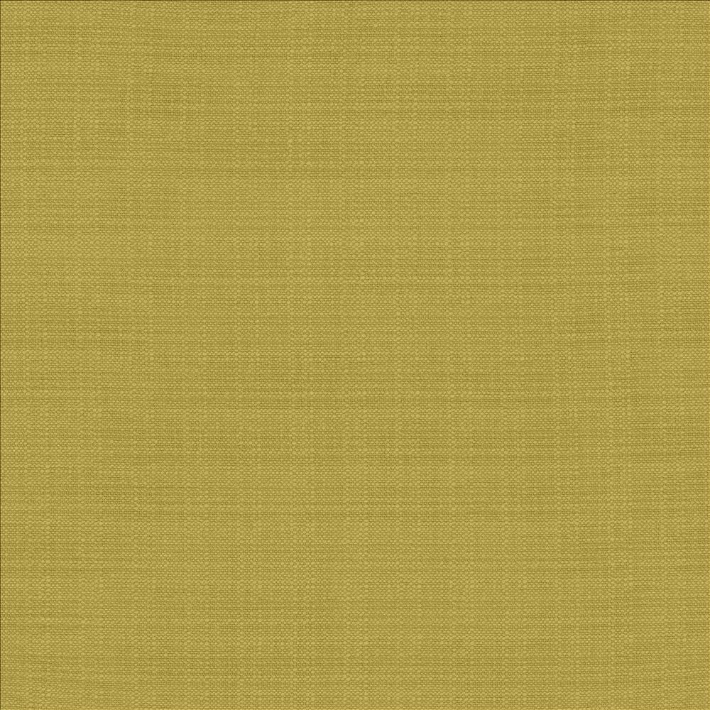 Resilient Meadow by Kasmir Fabric 5173 100% Polyester
 CHINA 100,000 Wyzenbeek Double Rubs Horizontal: N/A and Vertical: N/A 54 - Fabric Carolina -