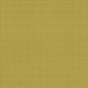 Resilient Meadow by Kasmir Fabric