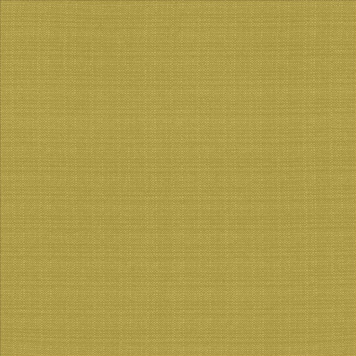 Resilient Meadow  by Kasmir Fabric See sample 100% Polyester
 CHINA 100,000 Wyzenbeek Double Rubs </p><p>Repeat: Horizontal: N/A and Vertical: N/A 54  - Fabric Carolina -