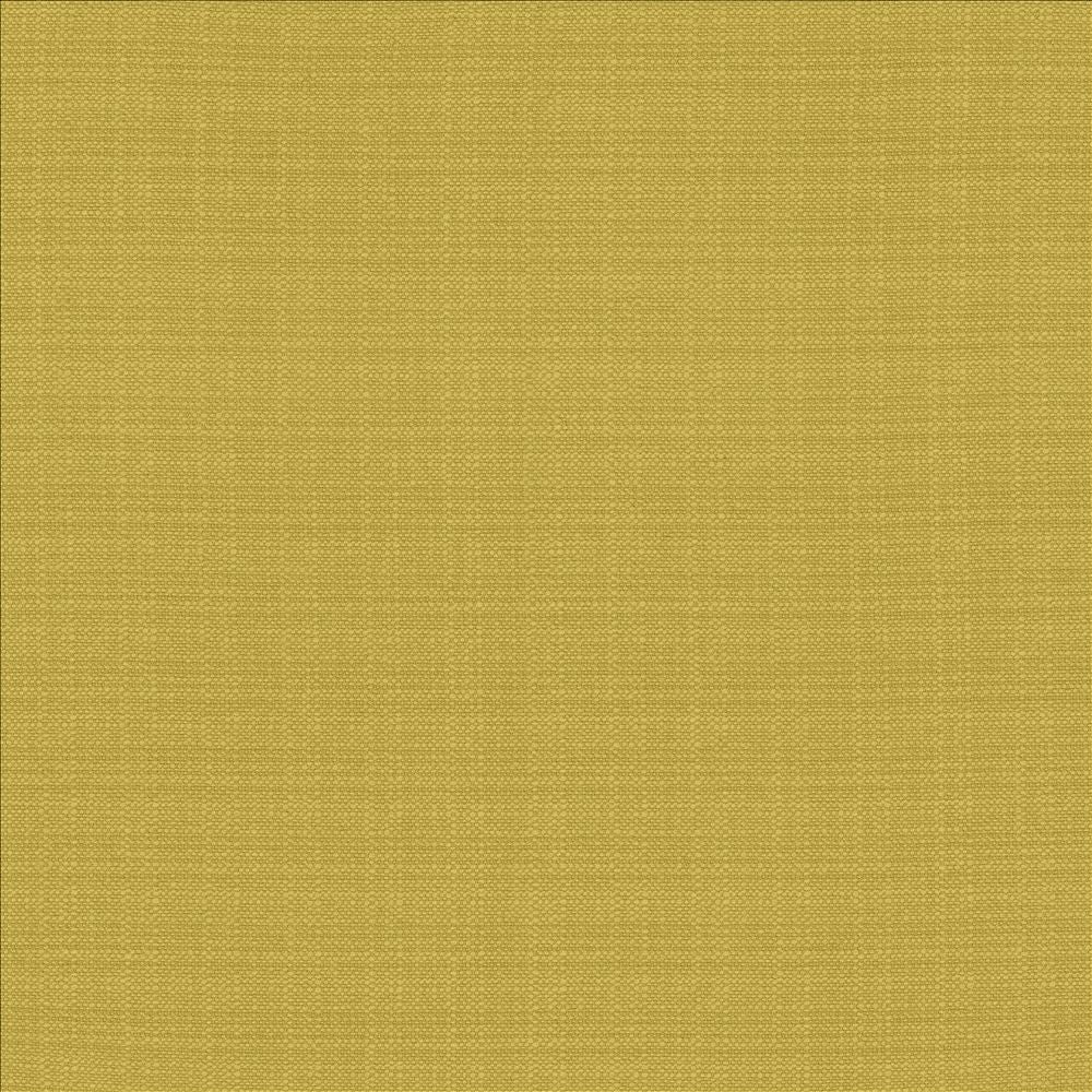 Resilient Meadow by Kasmir Fabric 5173 100% Polyester
 CHINA </p><p>Repeat: Horizontal: N/A and Vertical: N/A 54 - Fabric Carolina -