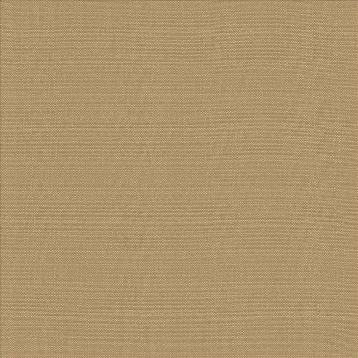 Resilient Mouse by Kasmir Fabric 5173 100% Polyester
 CHINA </p><p>Repeat: Horizontal: N/A and Vertical: N/A 54 - Fabric Carolina -