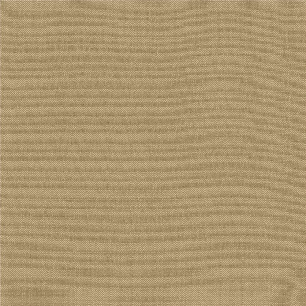 Resilient Mouse by Kasmir Fabric 5173 100% Polyester
 CHINA 100,000 Wyzenbeek Double Rubs </p><p>Repeat: Horizontal: N/A and Vertical: N/A 54 - Fabric Carolina -